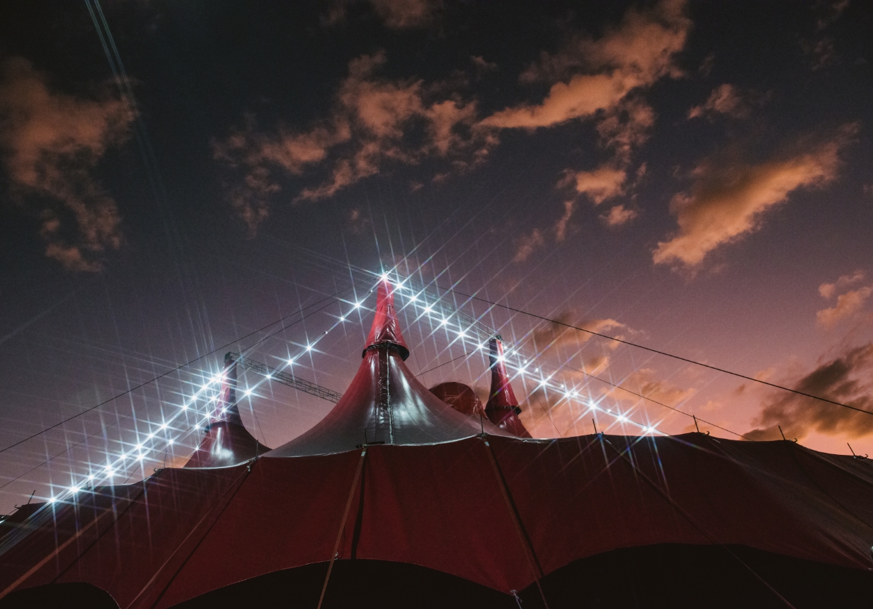 circo crescer e viver